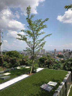 物件イメージ02